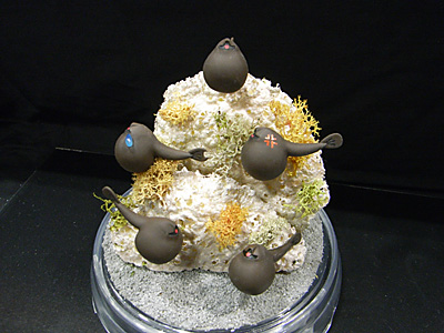 CH2010-036.jpg