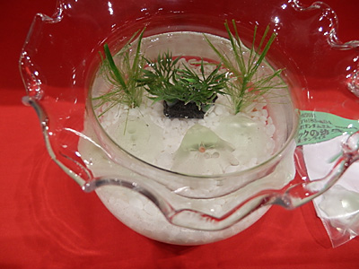 CH2011-021.jpg