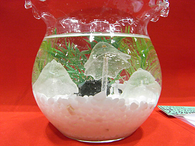 CH2011-025.jpg
