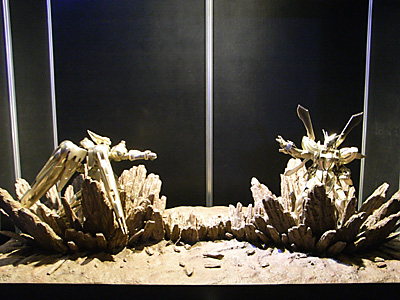 GBE2009-039.jpg