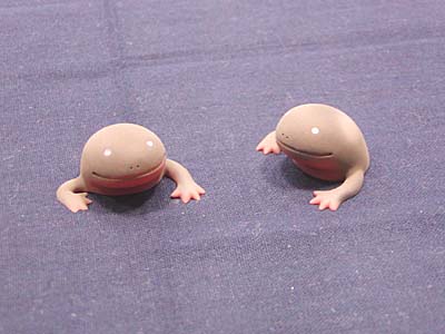 WF2005-summer-030.jpg