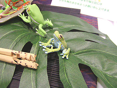 WF2006-summer-017.jpg