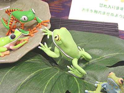 WF2006-summer-018.jpg