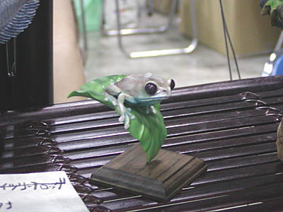 WF2006-summer-091.jpg