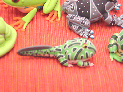 WF2006-winter-036.jpg