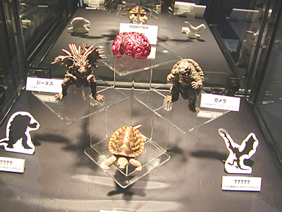 WF2006-winter-140.jpg