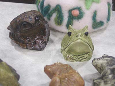 WF2007-summer-001.jpg