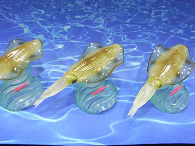 WF2007-summer-013.jpg