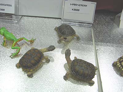 WF2007-summer-061.jpg