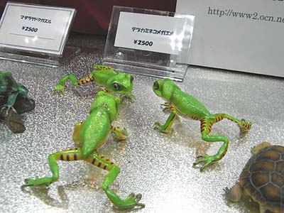 WF2007-summer-062.jpg