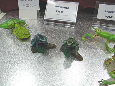WF2007-summer-063.jpg
