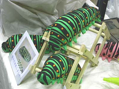 WF2007-summer-079.jpg