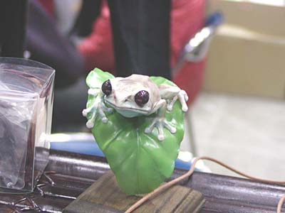 WF2007-winter-009.jpg