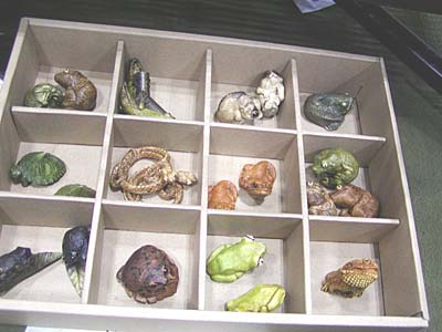 WF2007-winter-010.jpg