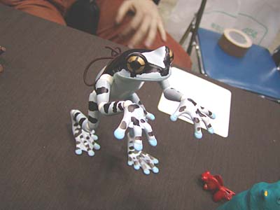 WF2007-winter-037.jpg