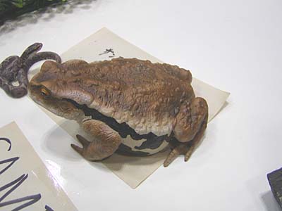 WF2007-winter-085.jpg