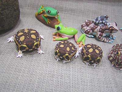 WF2007-winter-104.jpg