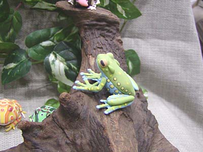 WF2007-winter-107.jpg