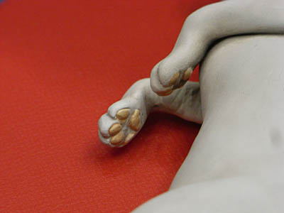 WF2008-summer-008.jpg