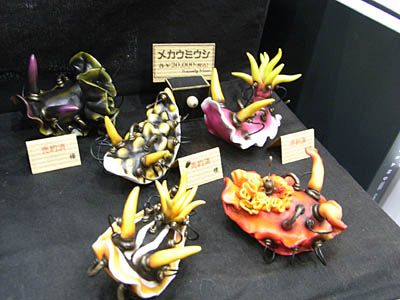 WF2008-summer-016.jpg