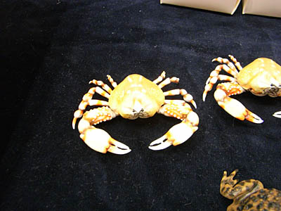 WF2008-summer-030.jpg