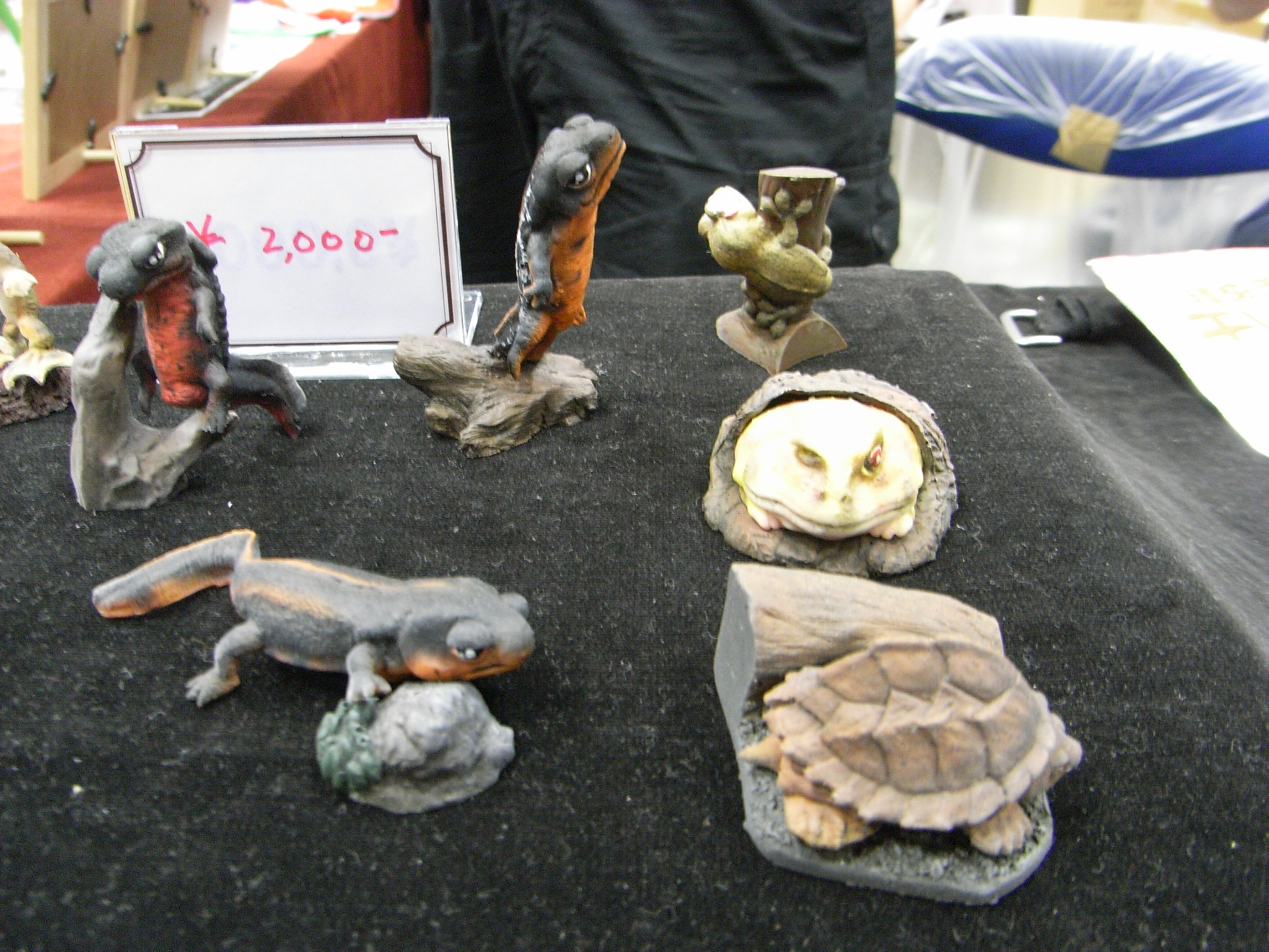 WF2008-summer-071.jpg