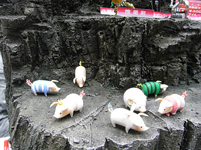 WF2008-summer-111.jpg