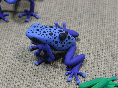 WF2008-winter-001.jpg