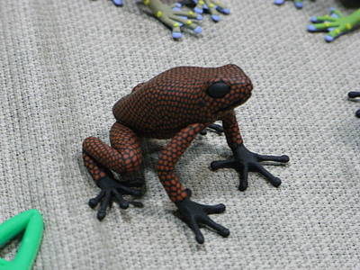 WF2008-winter-002.jpg