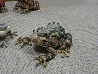 WF2008-winter-008.jpg