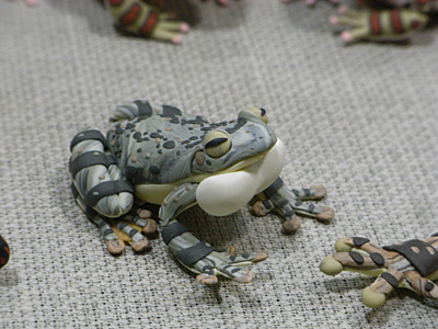 WF2008-winter-009.jpg