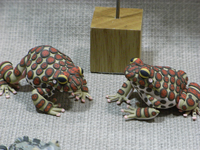 WF2008-winter-011.jpg