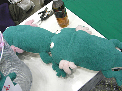 WF2008-winter-025.jpg