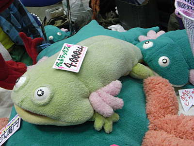 WF2008-winter-027.jpg