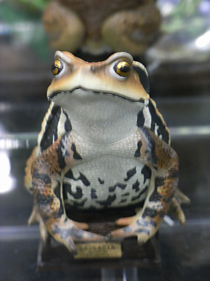WF2009-summer-039.jpg