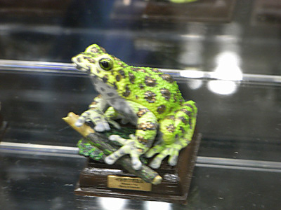 WF2009-summer-040.jpg
