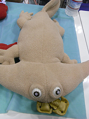 WF2009-summer-063.jpg