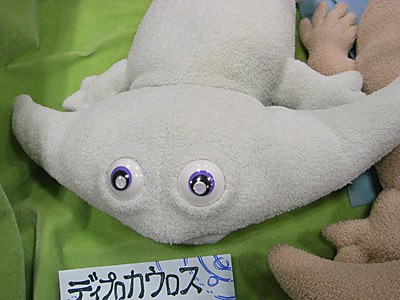 WF2009-summer-065.jpg
