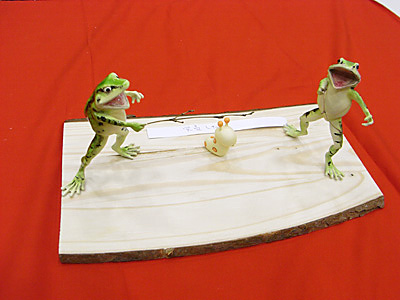 WF2009-summer-088.jpg