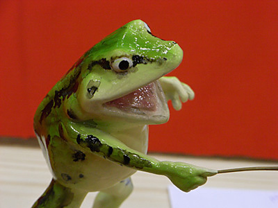 WF2009-summer-090.jpg