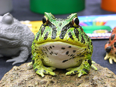 WF2009-summer-092.jpg