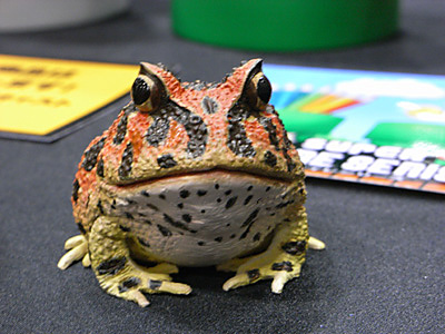 WF2009-summer-093.jpg