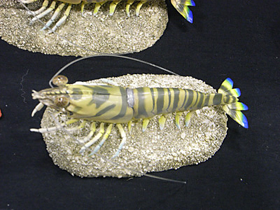 WF2009-summer-095.jpg