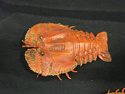 WF2009-summer-096.jpg