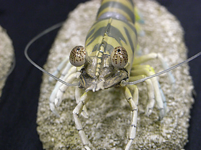 WF2009-summer-097.jpg