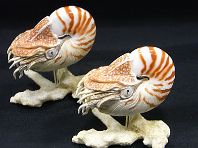 WF2009-summer-098.jpg