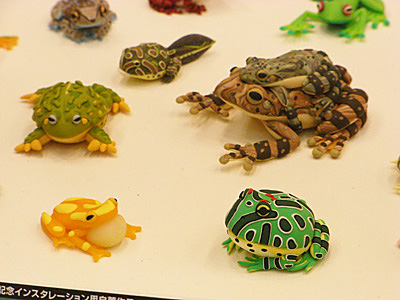 WF2009-summer-136.jpg