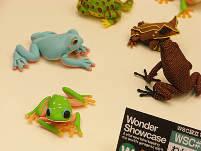 WF2009-summer-138.jpg