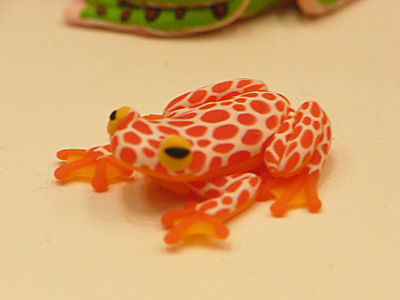 WF2009-summer-140.jpg