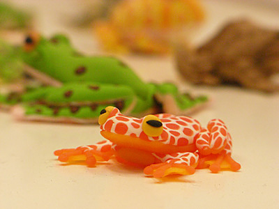 WF2009-summer-141.jpg